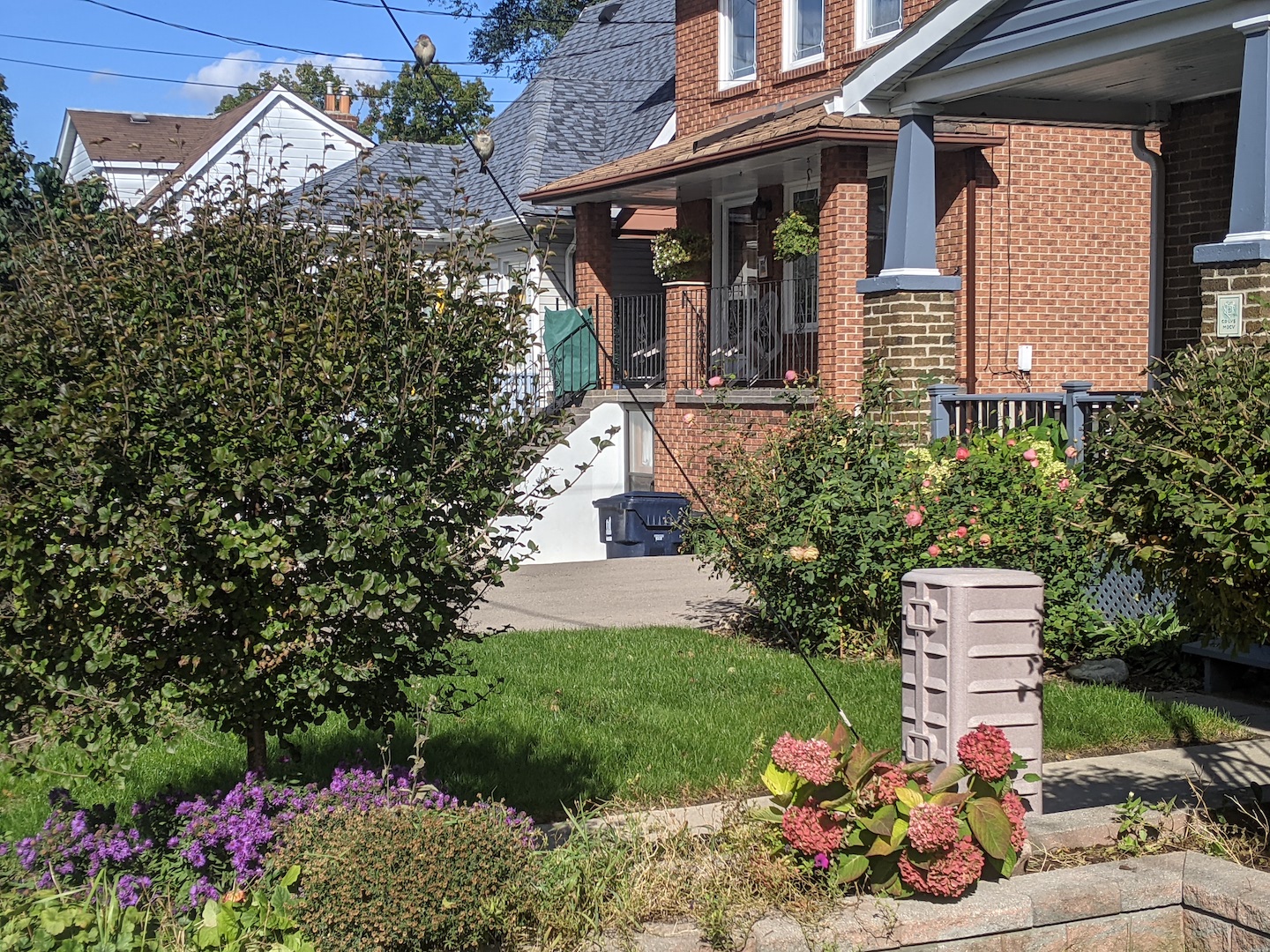 The front yard of a house on a clear summer day, showing a little brown tower amongst the flowers and with one cable leading up toward an unseen utility pole.